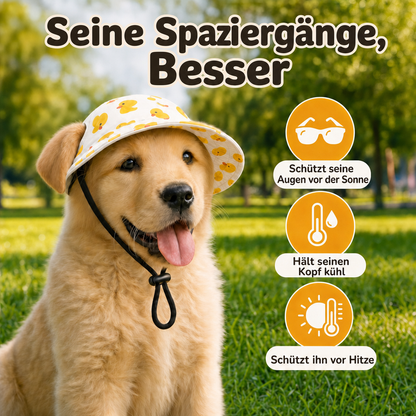 Hunde-Sonnenhut